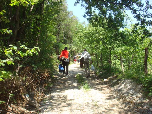 ����������� ���� 2009